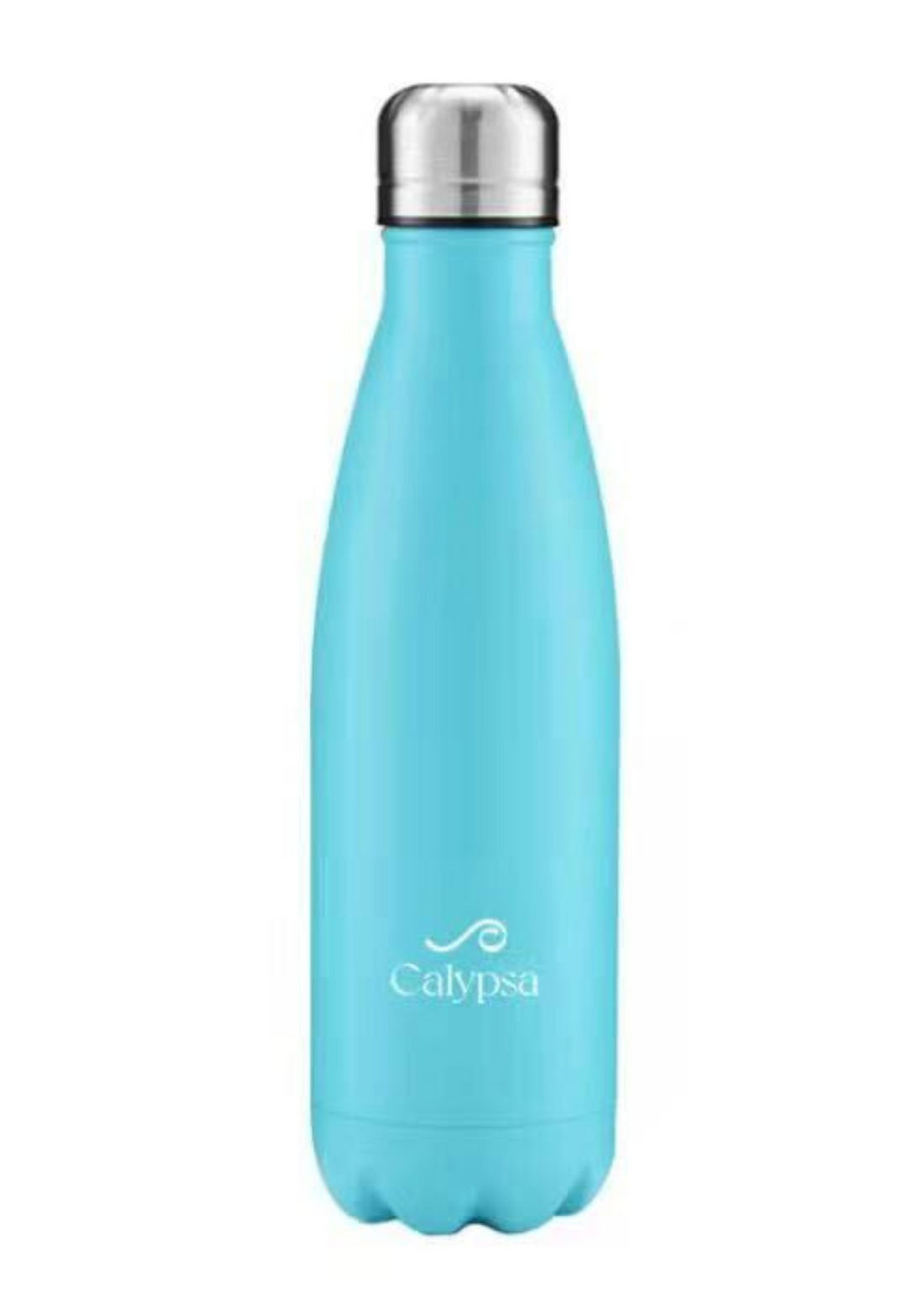 Stainless Steel Water Bottle - 17oz
