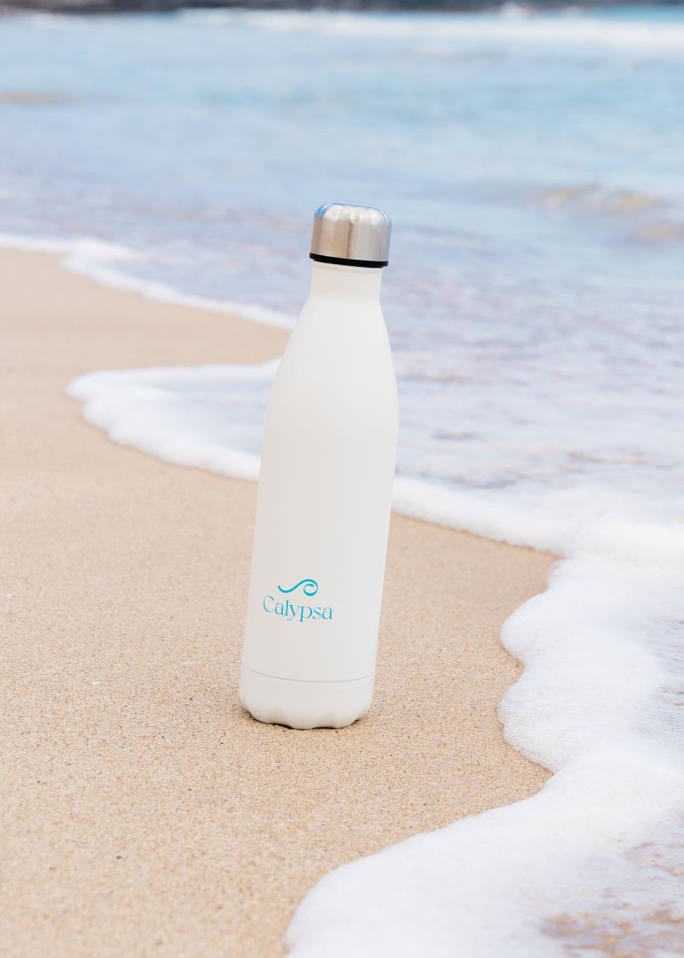 Stainless Steel Water Bottle - 25oz