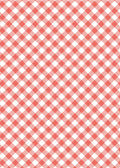 Coral Gingham