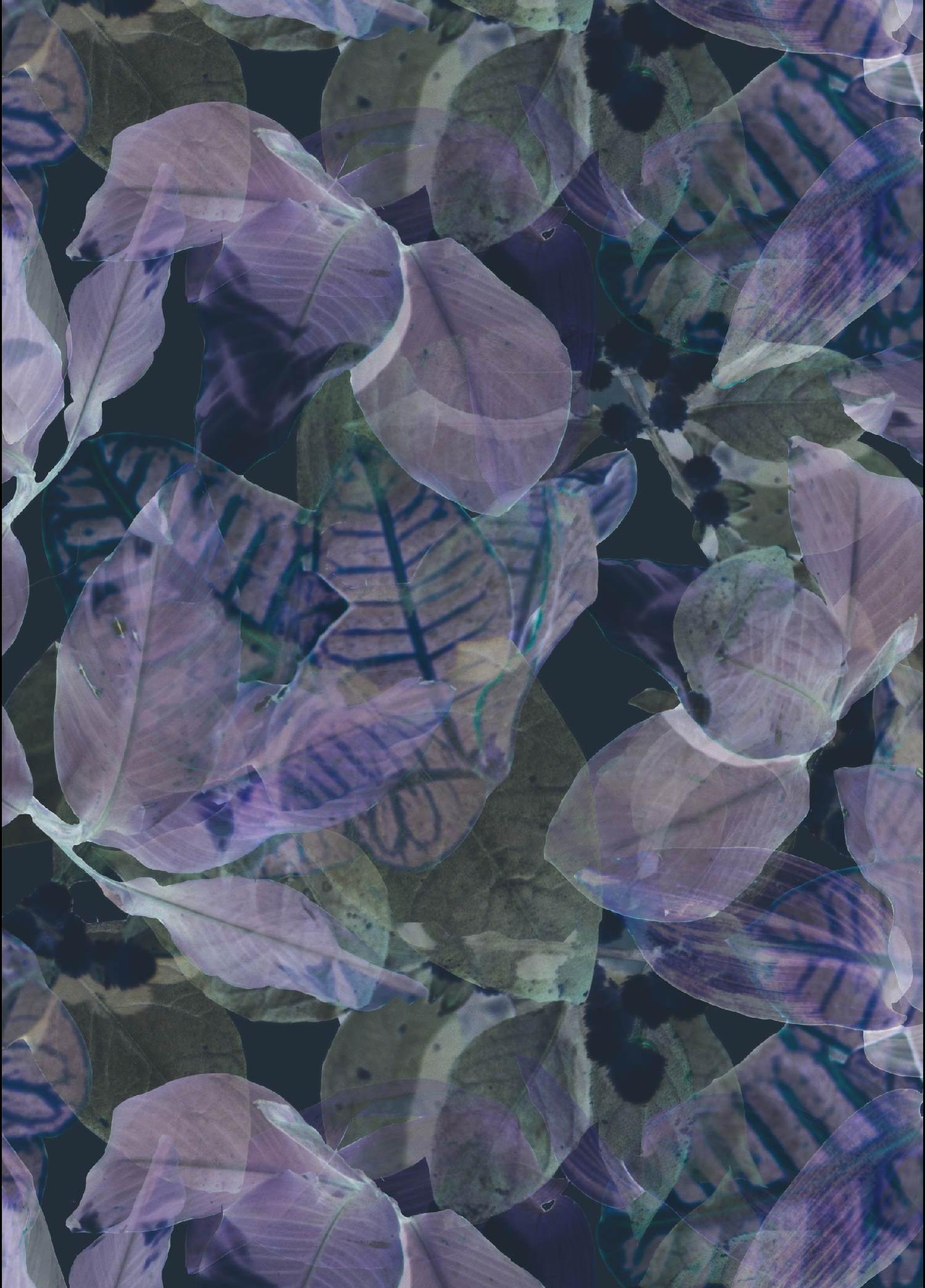 Indigo Lake