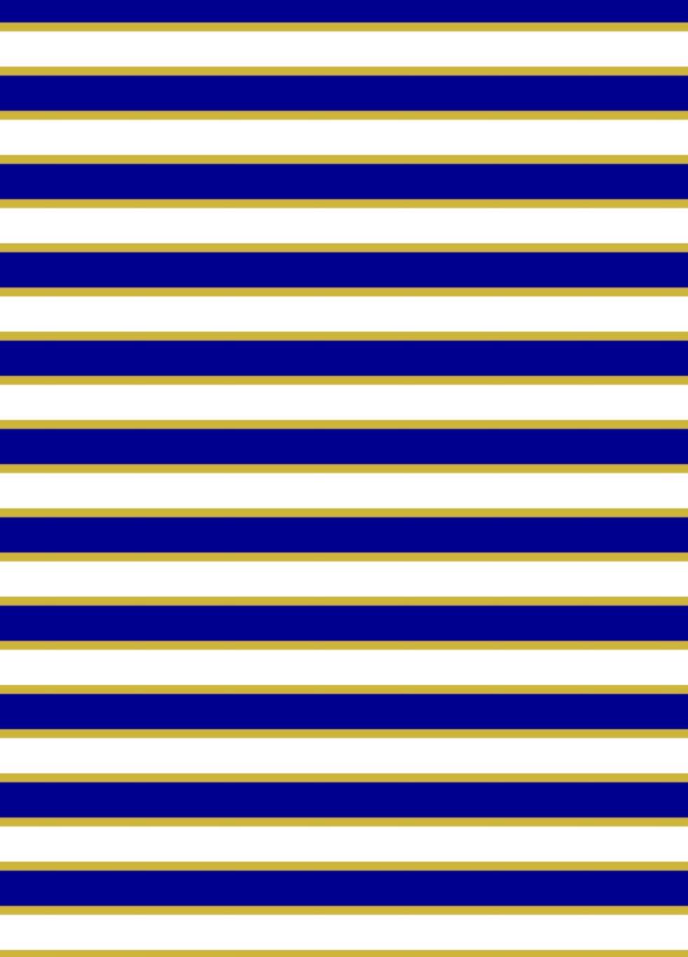 Navy Sunshine Sails