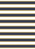 Navy/Sunshine Sails