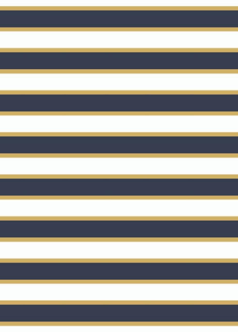 Navy/Sunshine Sails