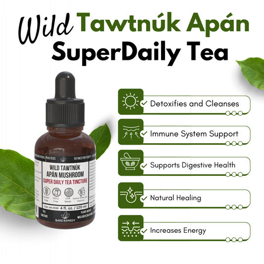 Wild Tawtnuk Apán Mushroom Super Daily Tea Tincture