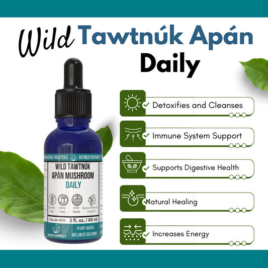 Wild Tawtnuk Apán Mushroom Daily