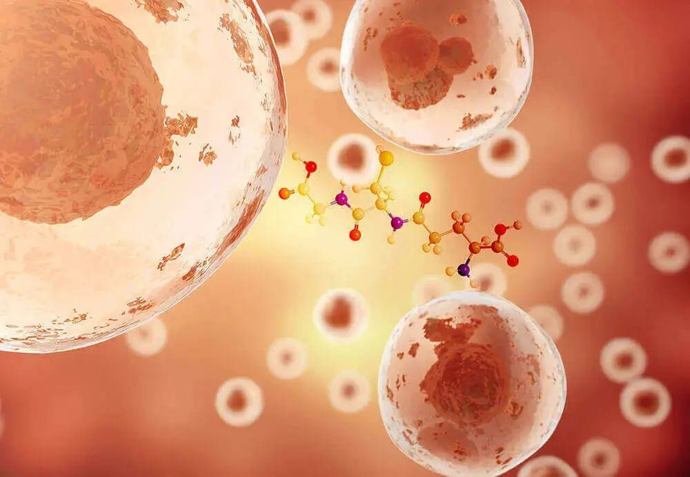 Defining glutathione - Glutone